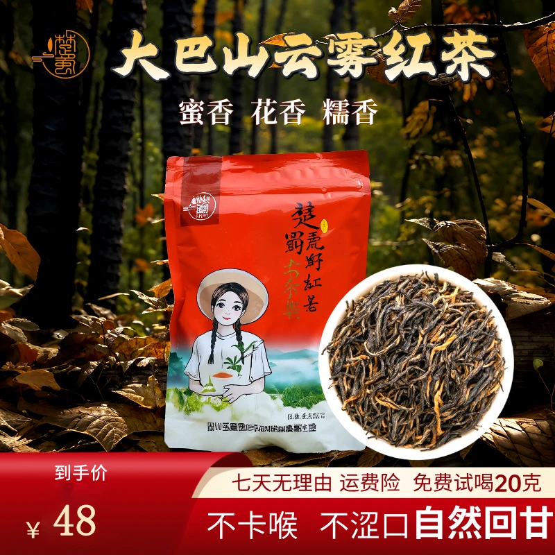1200米高山小种红茶秦岭大巴山一芽一叶春茶新茶叶