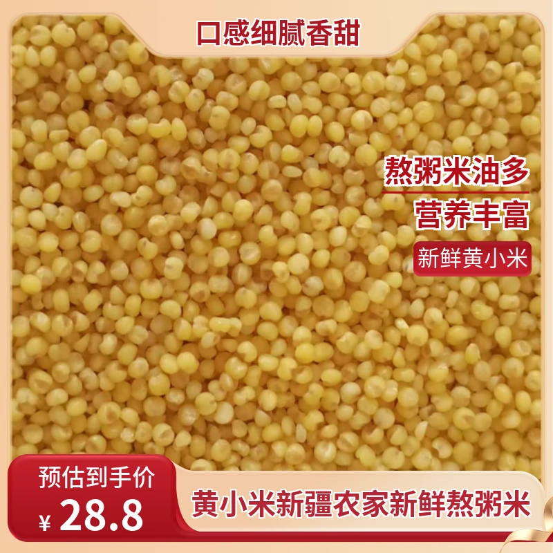 现磨新鲜黄小米营养丰富熬粥米油多适合早餐的五谷杂粮
