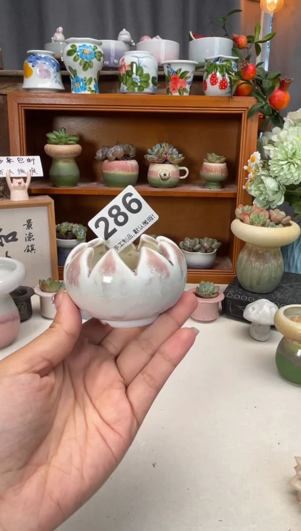 瓷片286知木小芳花盆