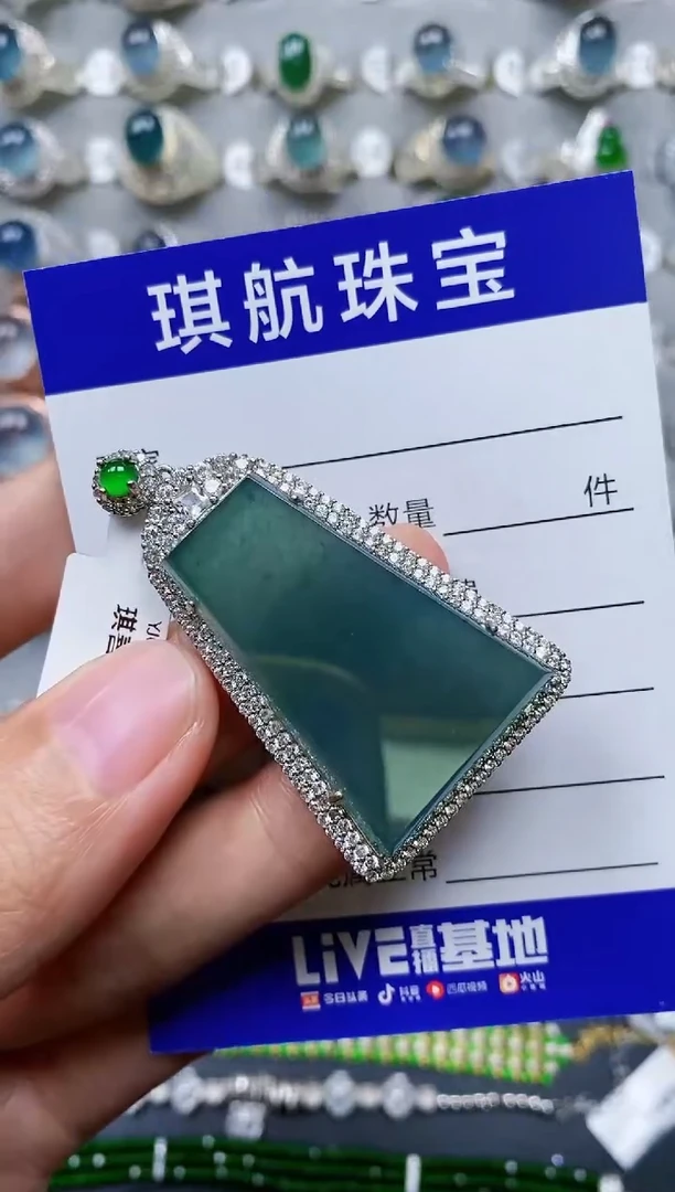 【闪购商品】翡翠颈饰银S925镶嵌0666