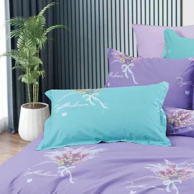 枕套一对100%纯棉透气亲肤加厚（可自选花型）