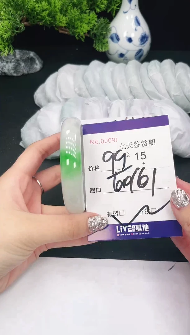 未镶嵌手镯翡翠15