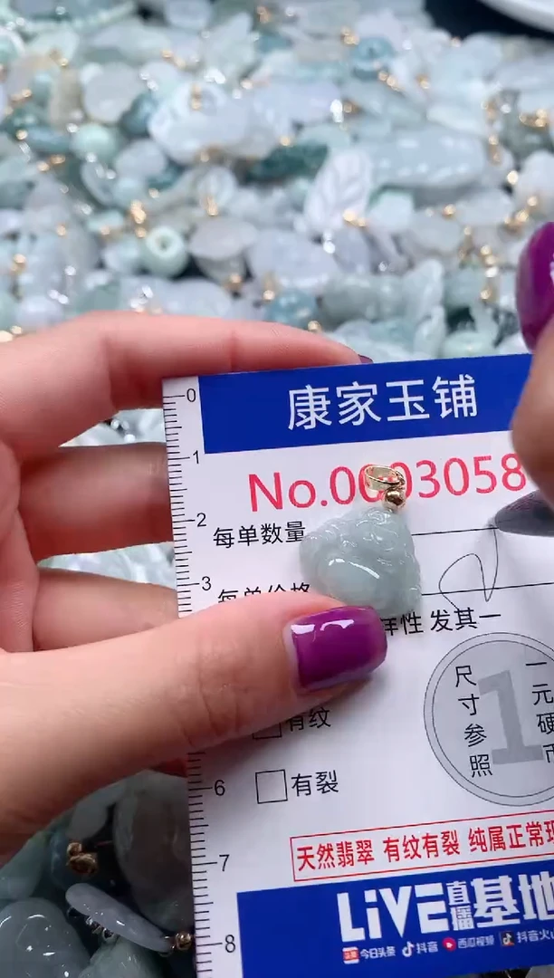 颈饰未镶嵌翡翠3058