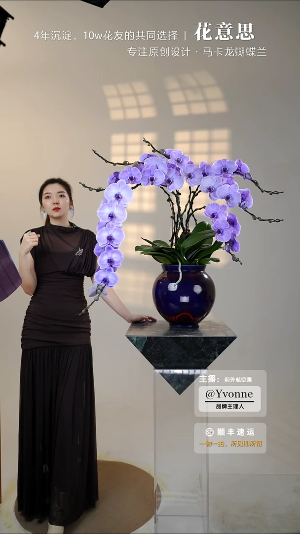 全部花朵020一物一拍蝴蝶兰艺术盆景