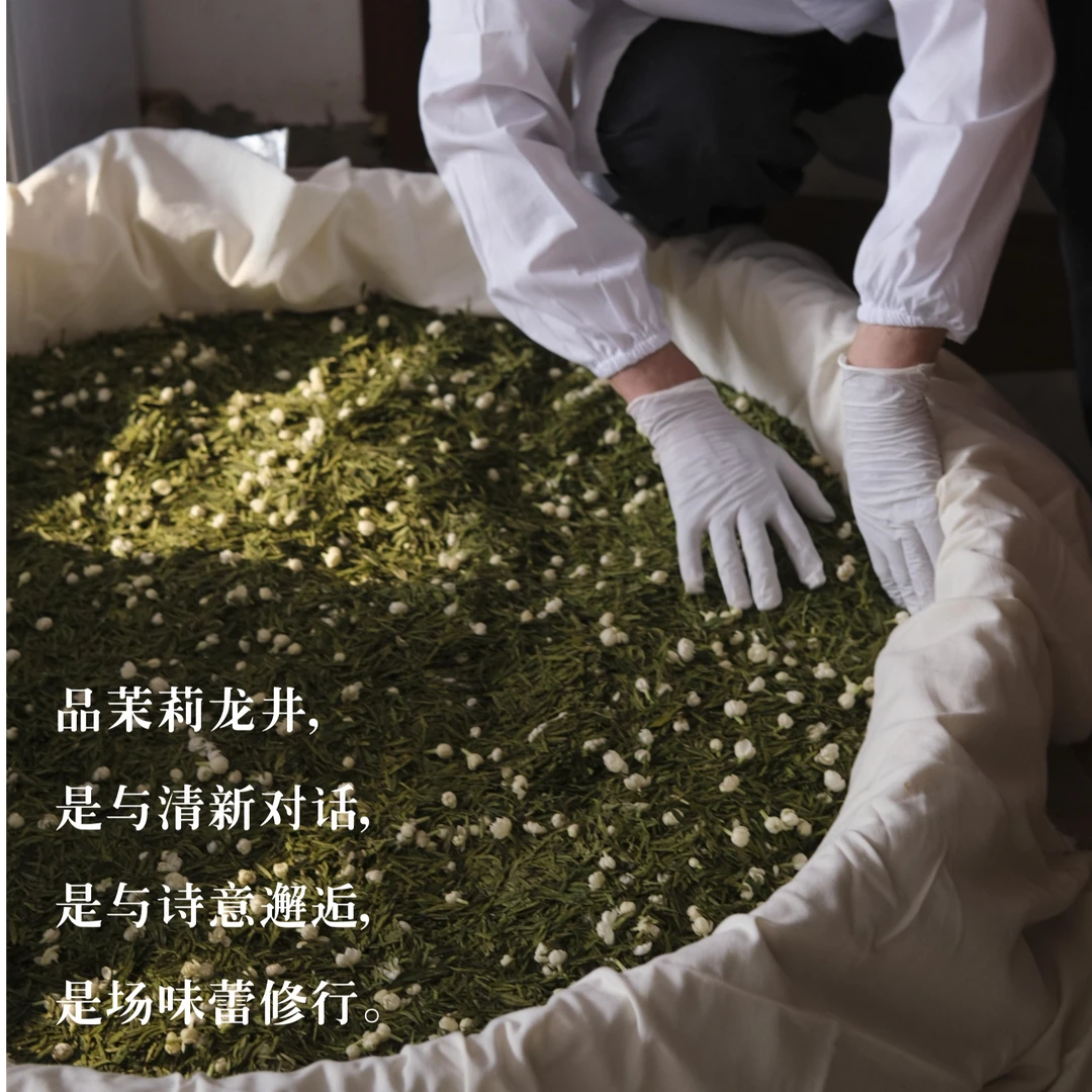 赏西湖·沁心夏日茉莉·茉莉龙井茶 4泡