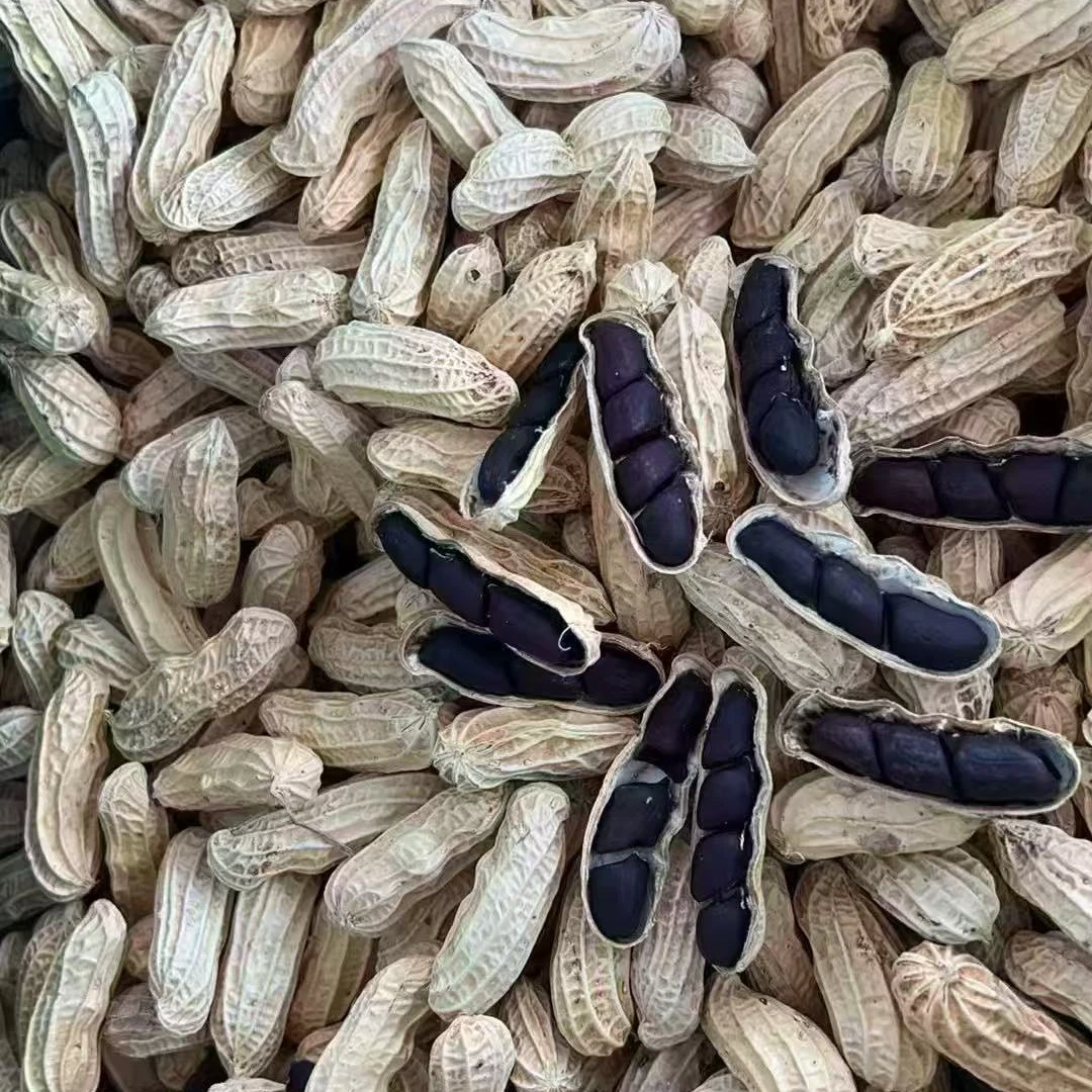 【大毛】贵州富硒生黑花生带壳生养胃黑生花生