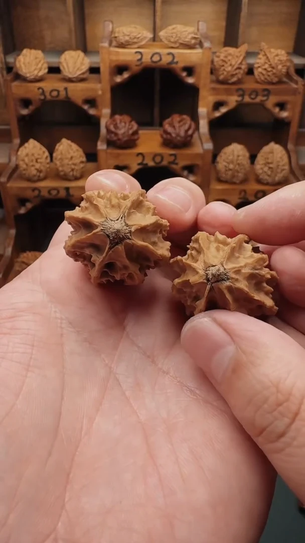 【闪购商品】文玩核桃吊坠HJDLY楸子