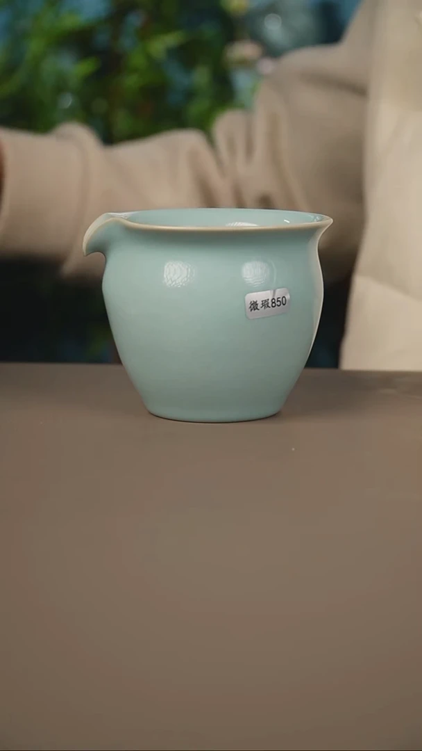 赵志强公道微暇