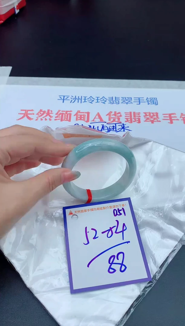 未镶嵌手镯翡翠1111111