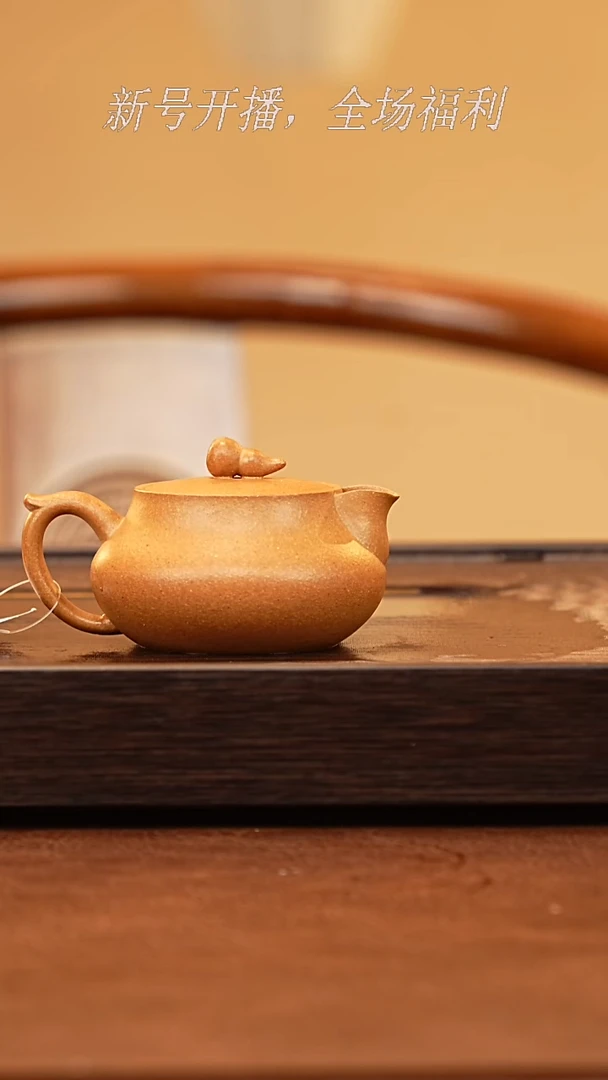 茶壶紫砂3y28葫芦