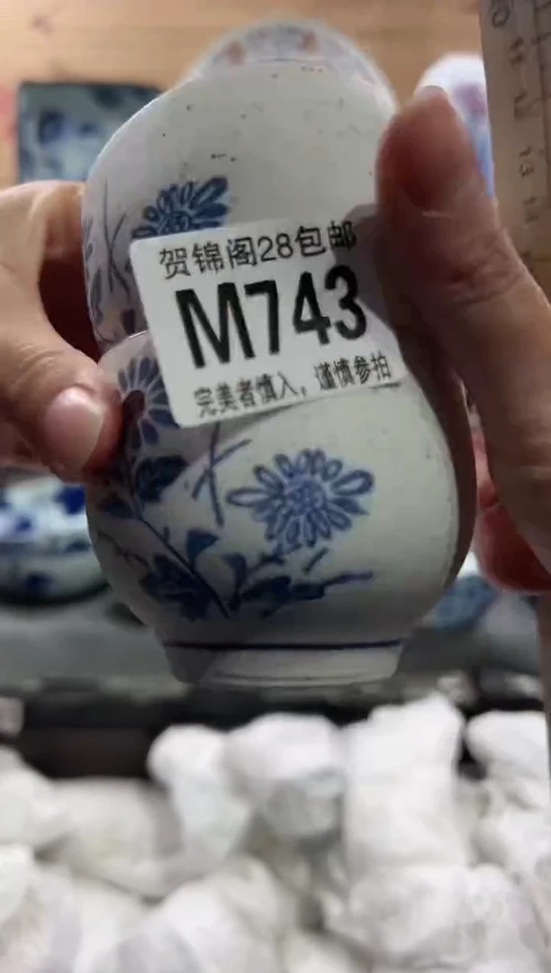 【闪购商品】瓷片当天满28米包邮M743