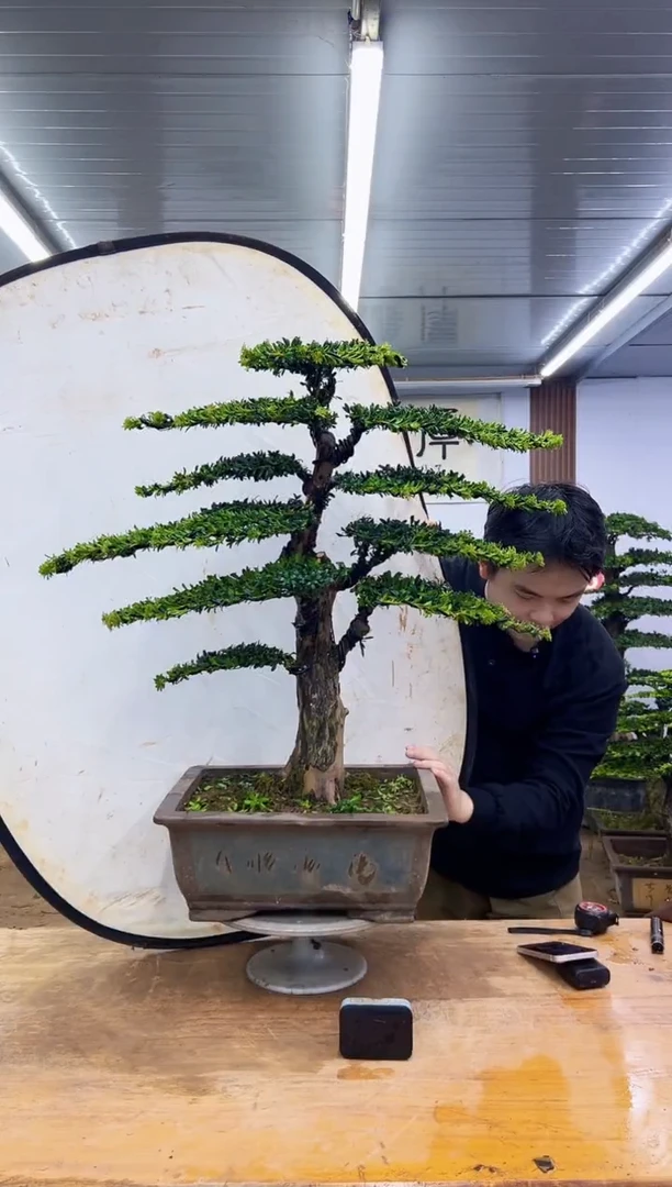 无花朵00000000000000000000000