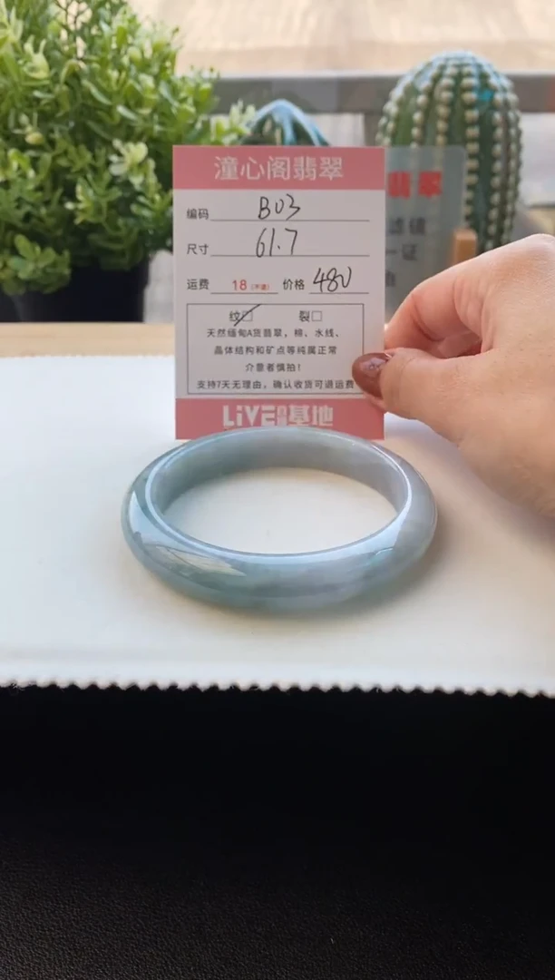 未镶嵌手镯翡翠61.7圈口 编码B03
