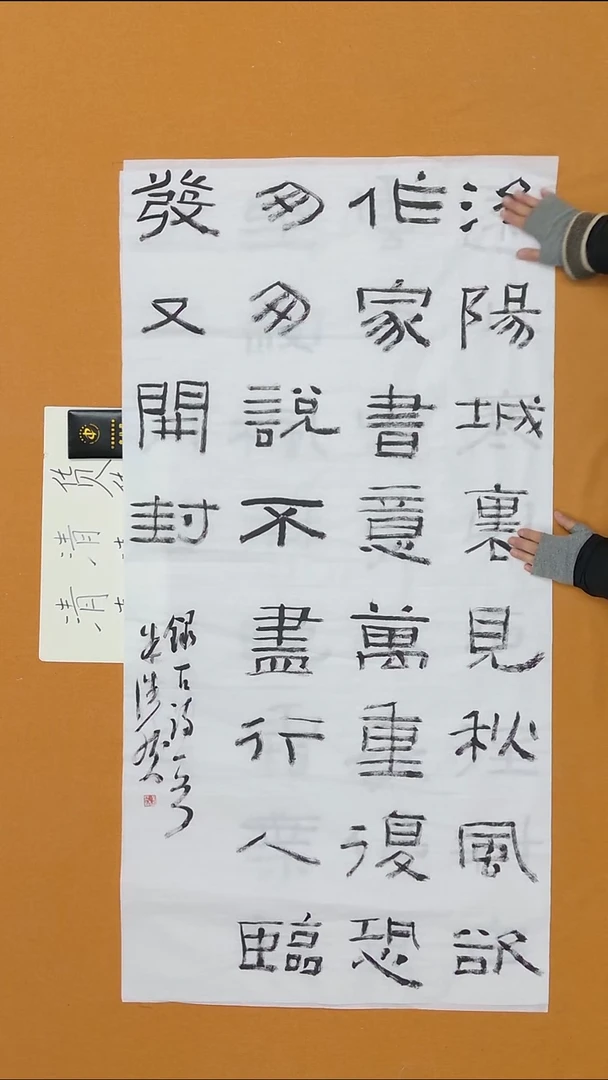 书法朱浩然 河南书法硕S 13届届展双体 68*138 八平尺