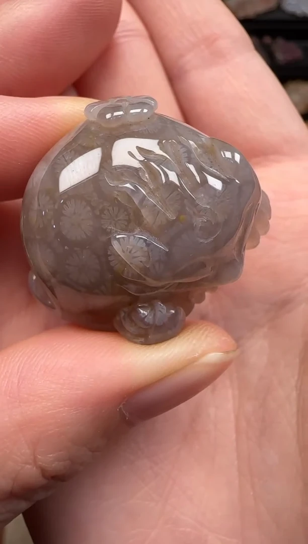 硅化珊瑚（珊瑚玉）未镶嵌颈饰511