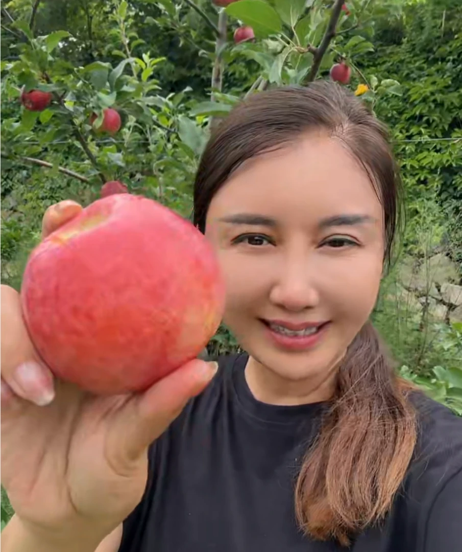 阜平县25年新鲜下树高山苹果5-10斤包邮