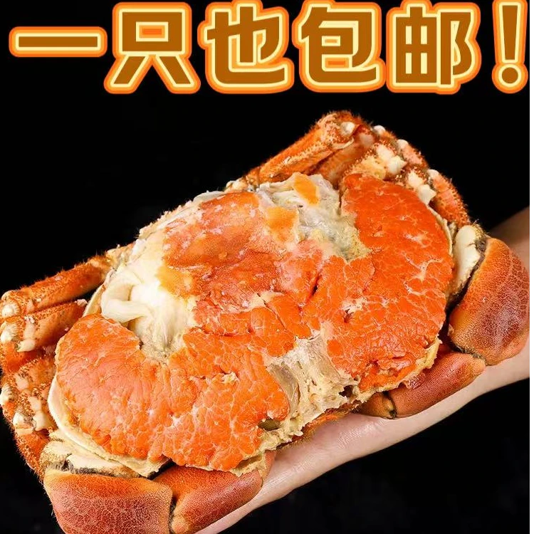 (非真空包装) 熟冻面包蟹 黄道蟹 黄金蟹 膏蟹
