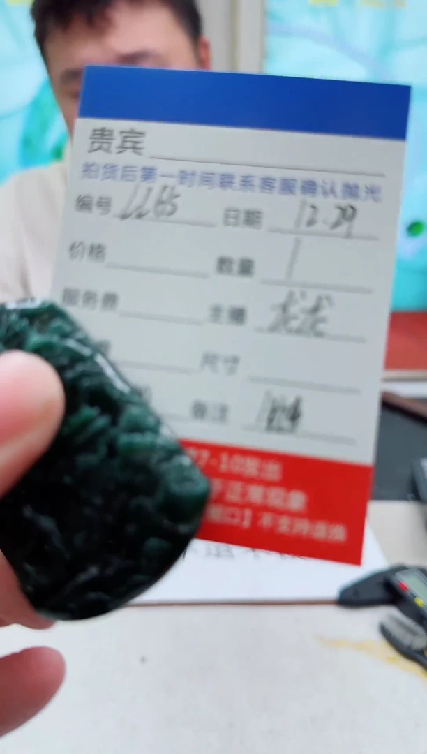 未镶嵌定制翡翠LL65翡翠吊坠赠珠链-多样性发其一