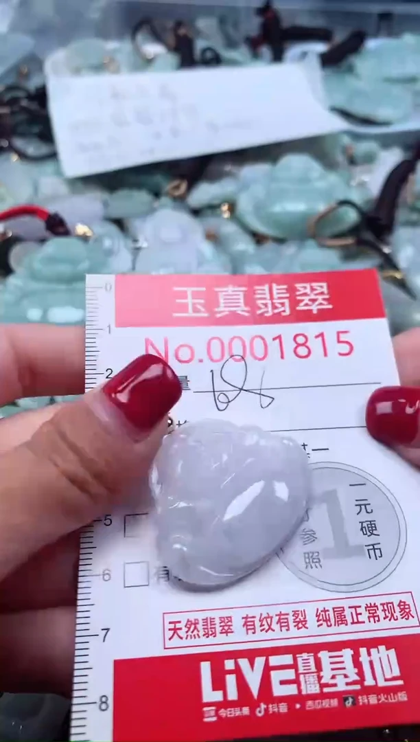 颈饰未镶嵌翡翠1815