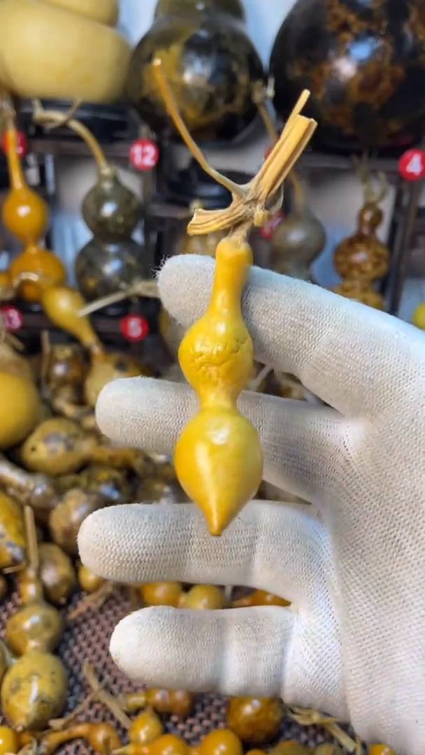 【闪购商品】葫芦葫芦葫芦葫芦