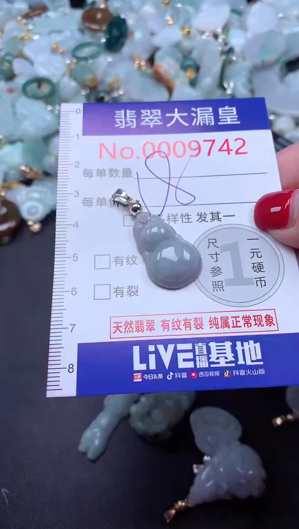 颈饰未镶嵌翡翠9742