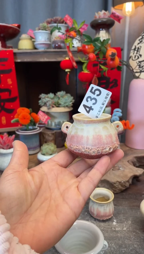 【闪购商品】摆件435知木小芳花盆