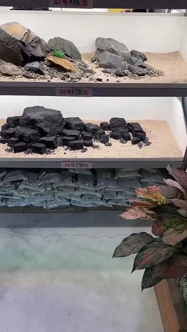 39号鱼缸造景（不含底砂）