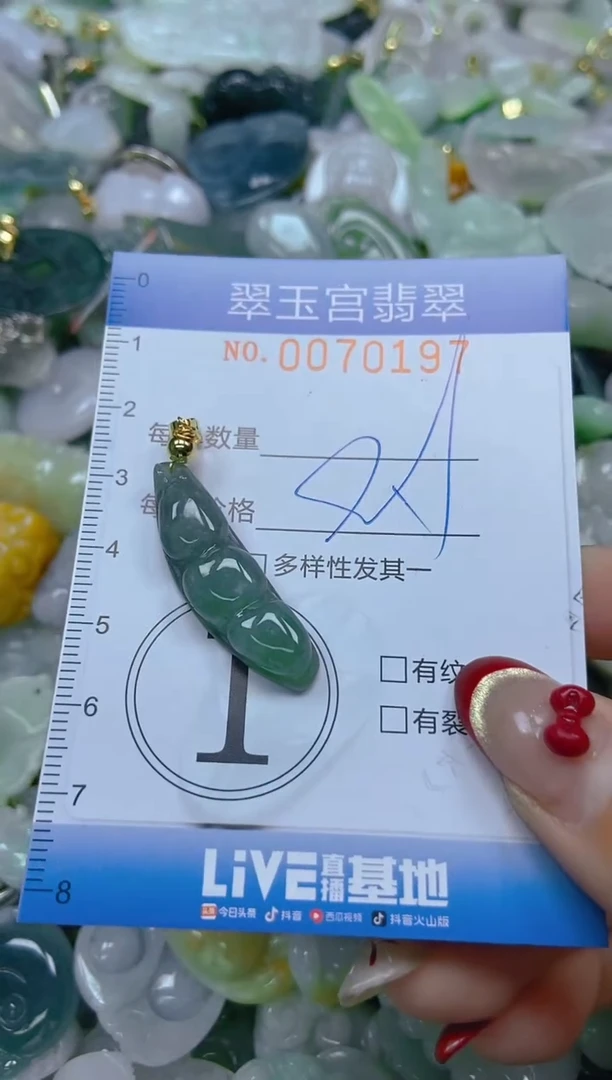 【闪购商品】翡翠颈饰未镶嵌闪购0070197