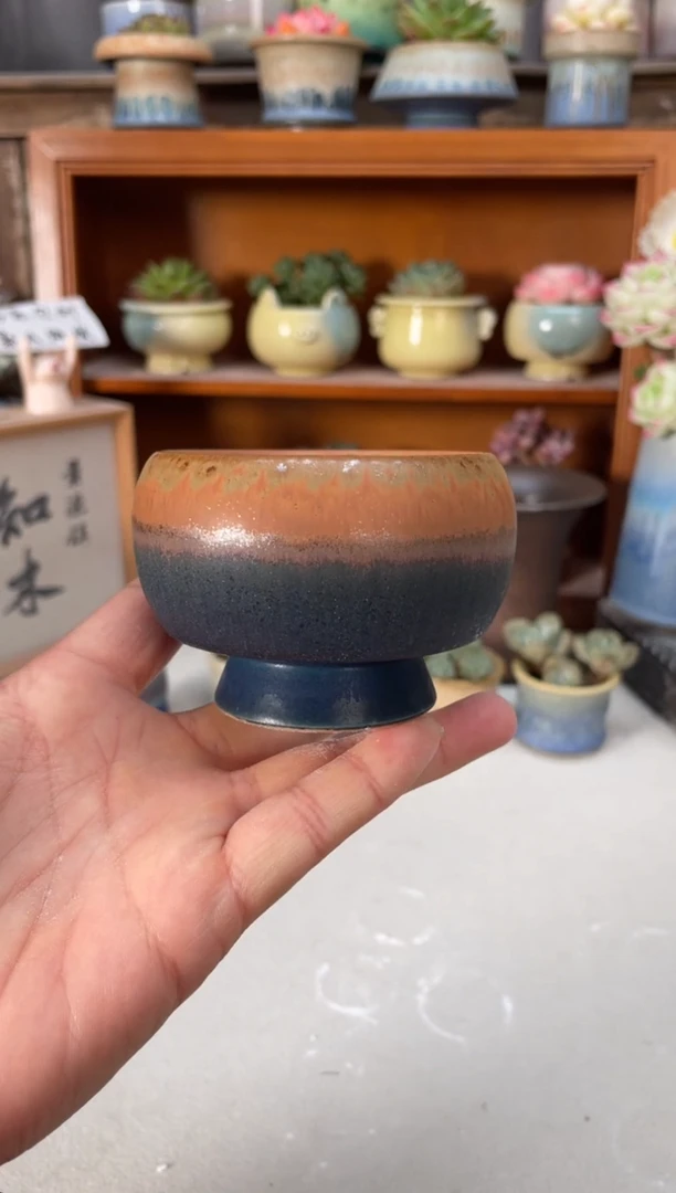 瓷片154小芳直播编号