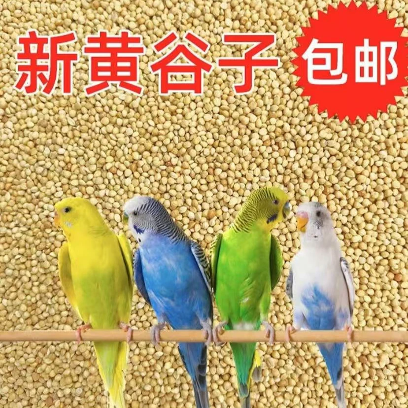 虎皮鹦鹉牡丹玄风鹦鹉饲料