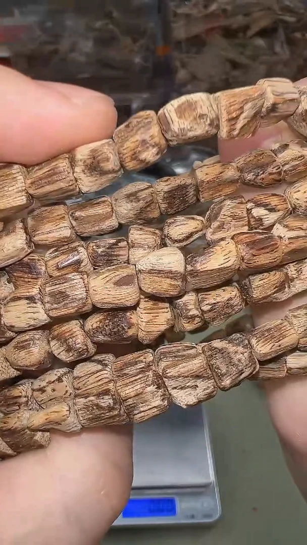 海南虎斑棋随形单圈多样性发其一