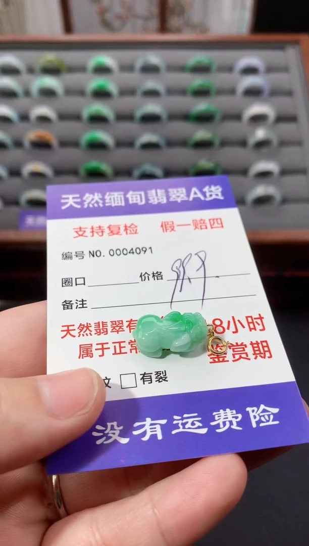 颈饰未镶嵌翡翠貔貅