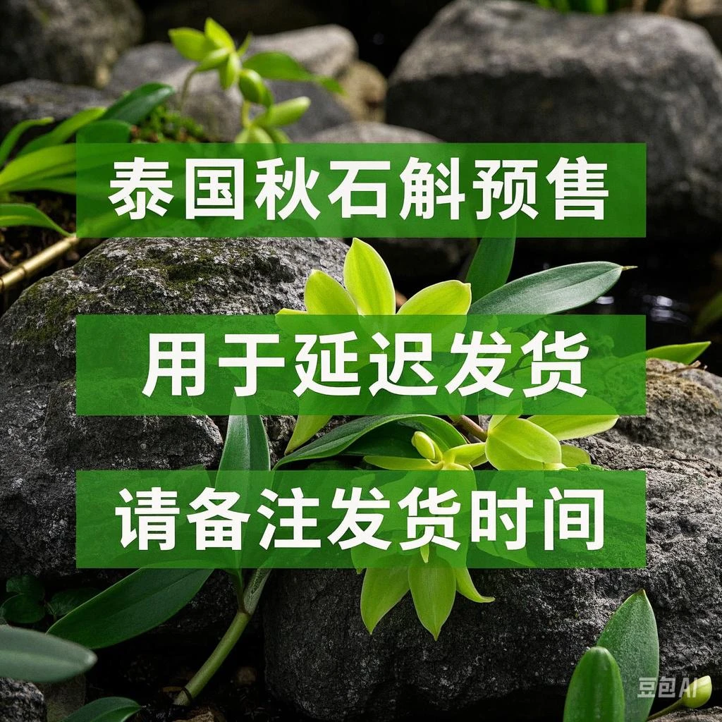 延迟发货|泰秋石斛兰一物一拍（请备注发货时间）