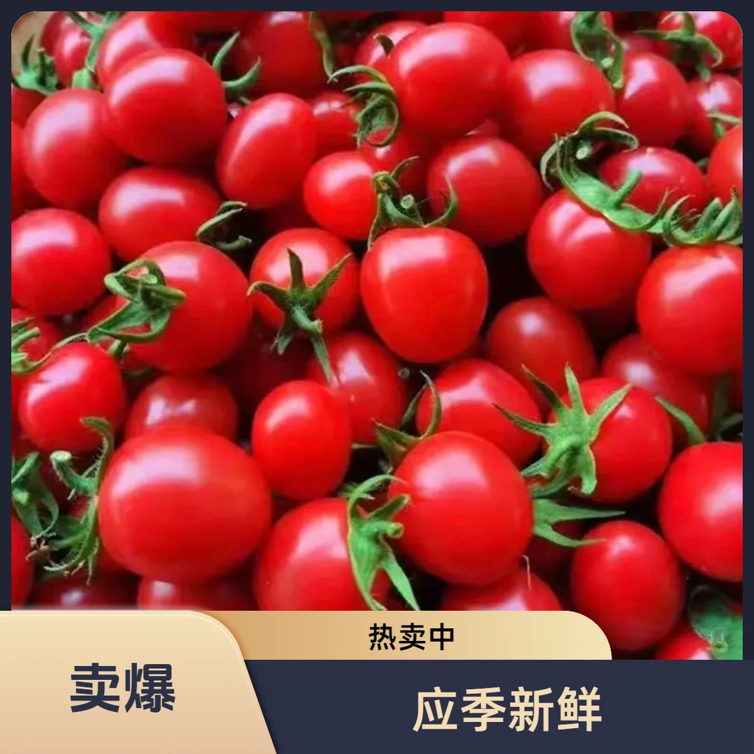 自然熟应季新鲜圣女果酸甜可口小西红柿纯天然圣女果小番茄