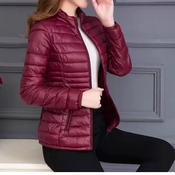 中老年女装秋冬立领轻薄棉服2024年新款时尚修身百搭保暖外套0093