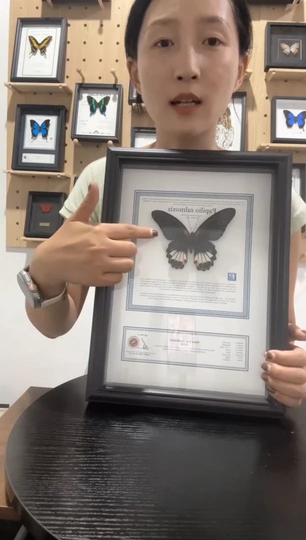 美凤蝶蝴蝶装饰画