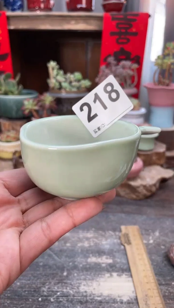 【闪购商品】摆件218知木小芳花盆