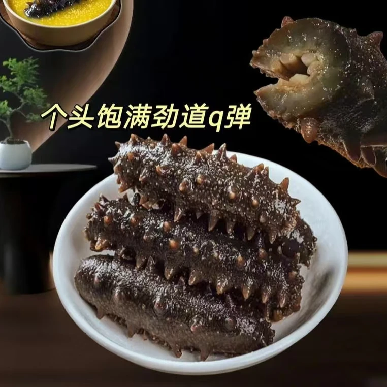鲜食海参 营养滋补 500g一袋