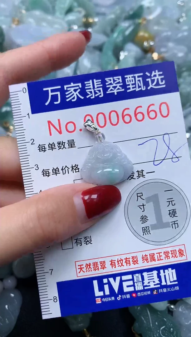 颈饰未镶嵌翡翠6660