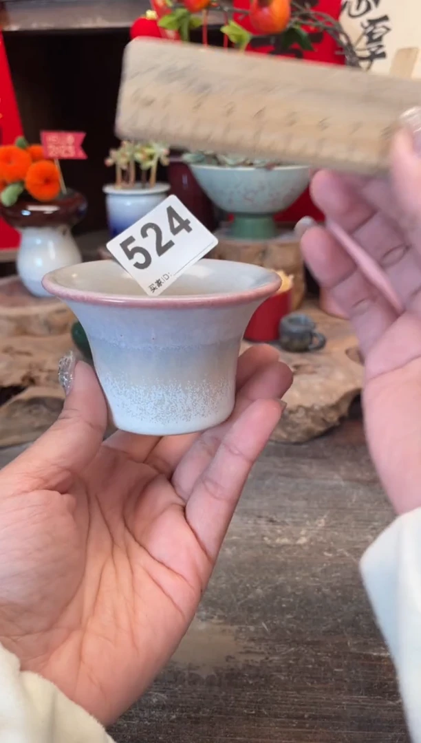 【闪购商品】摆件524知木小芳花盆