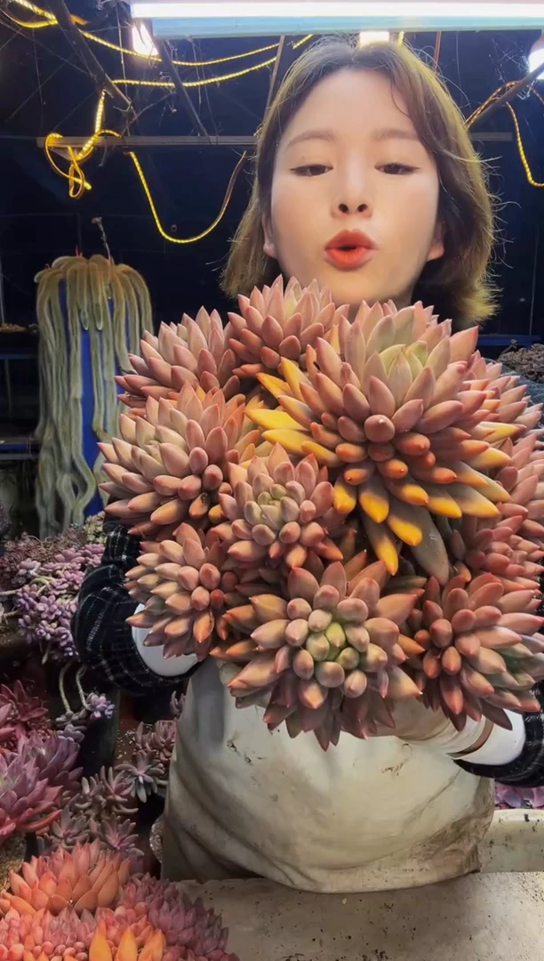 懒****2懒虫姐黄体水晶球一物一拍