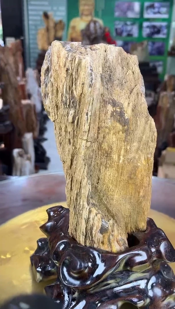 缅甸天然树化玉摆件