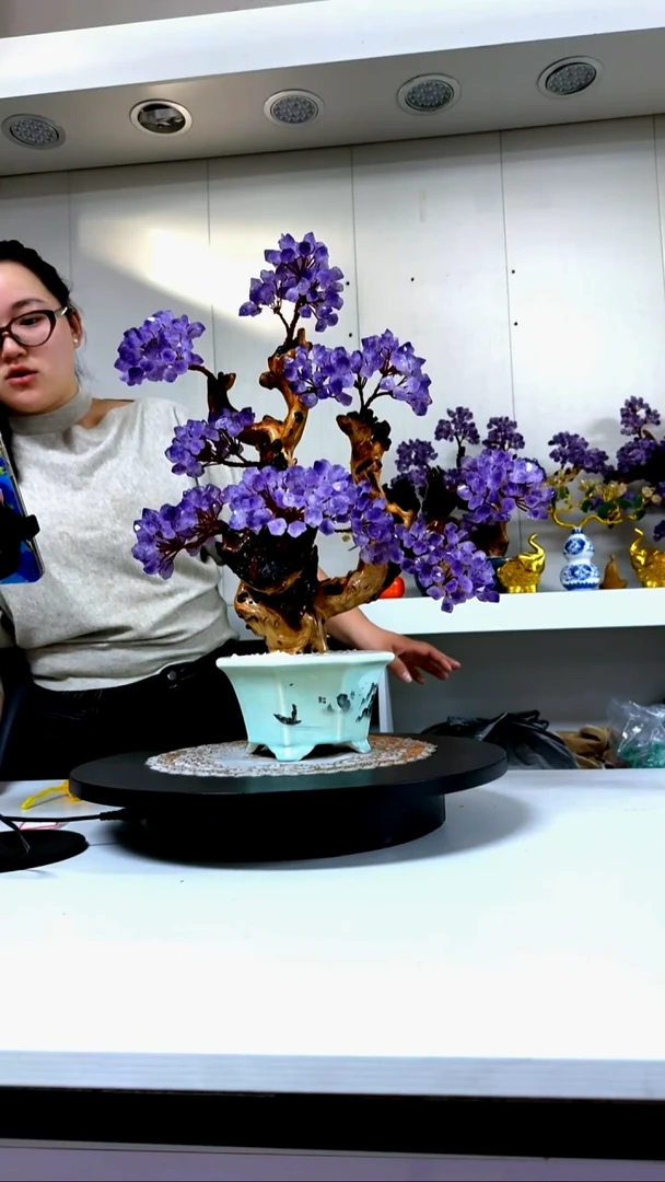 紫砂发财树摆件一物一拍1