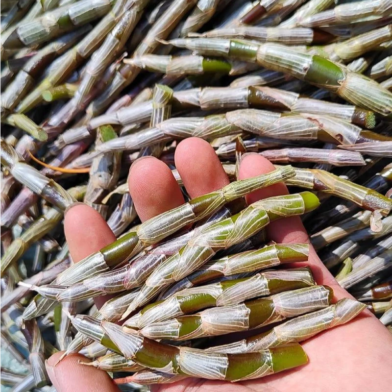 【现收】农家特产使用农产品——11——