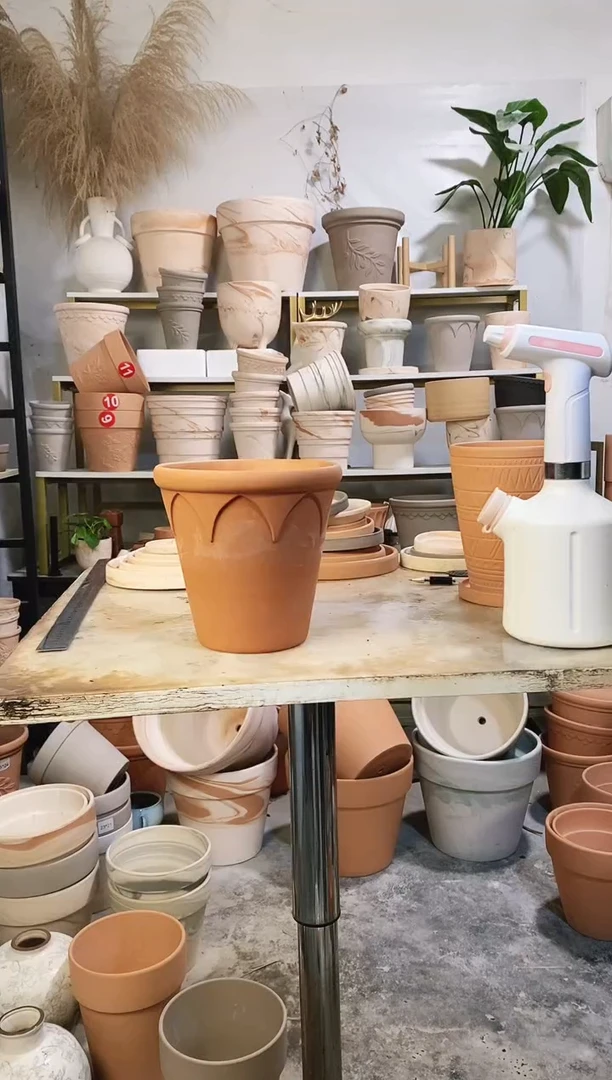 瑕疵无售后18*17红陶皇冠 1盆无托