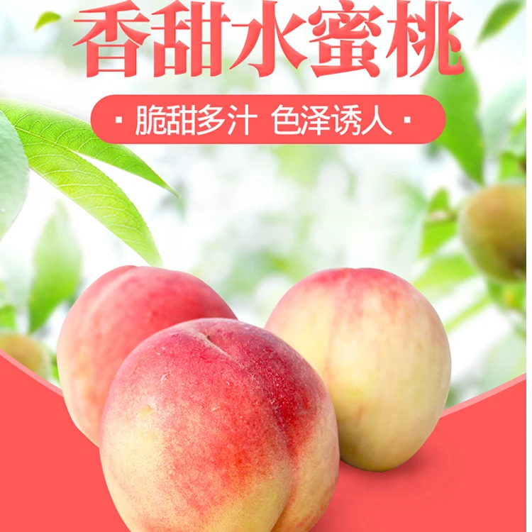 现摘水蜜桃新鲜水果当季大桃子鲜毛桃甜脆桃软桃果园产地直发包邮