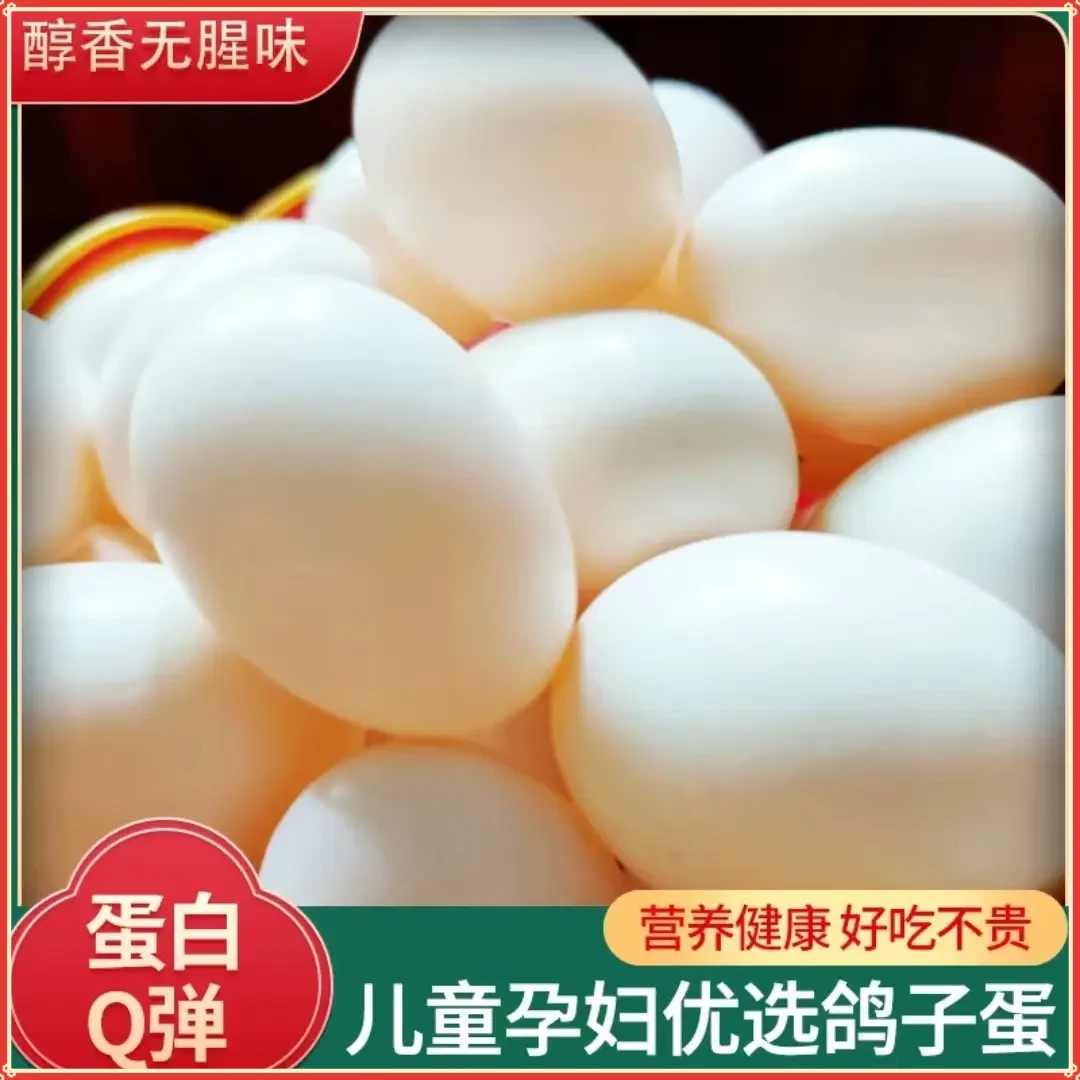【顺丰包邮】新鲜鸽子蛋白鸽蛋土鸽蛋农家五谷杂粮喂养鸽蛋现捡现发