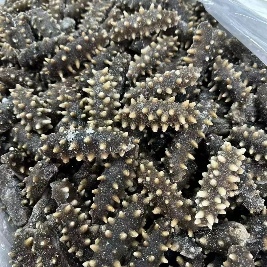 嘎嘎Q弹【鲜冻即食海参 规格任选 现场称重 】500g 顺丰冷链包邮