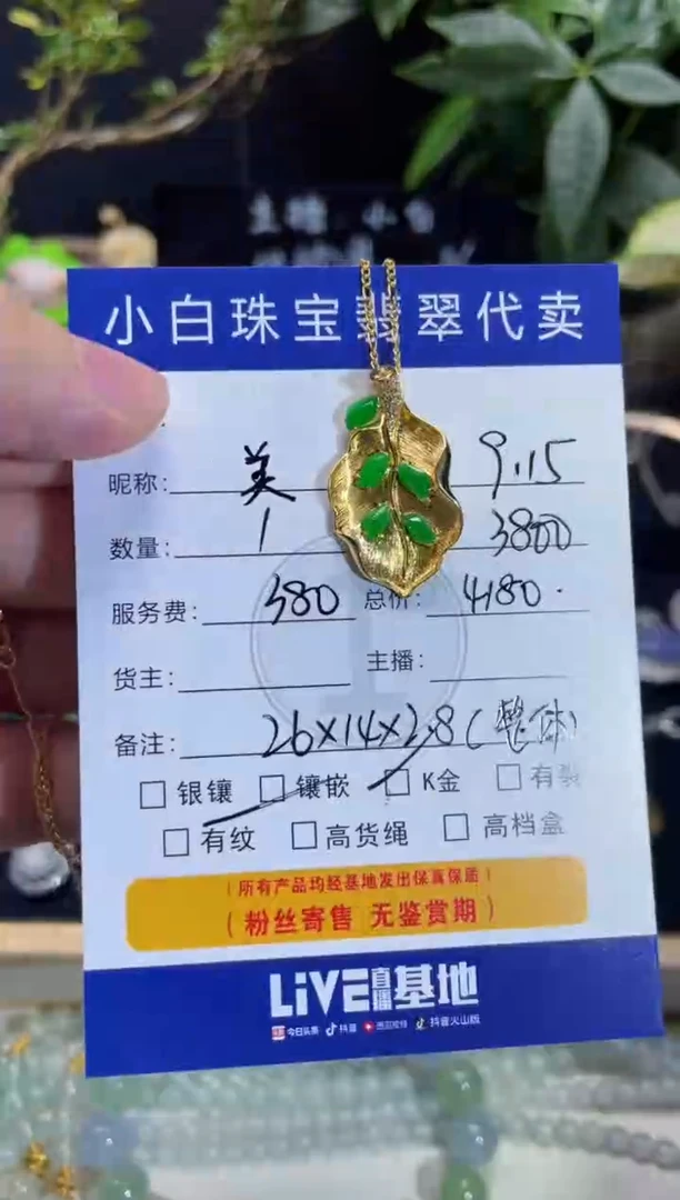 套链18K金镶嵌翡翠美**-设计款
