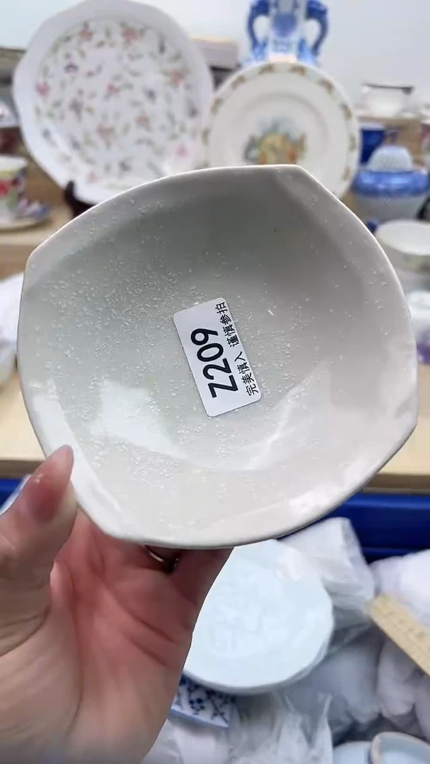 【闪购商品】瓷片209